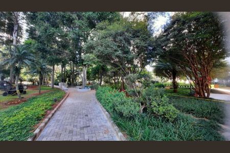 Apartamento à venda com 315m², 4 quartos e 5 vagas