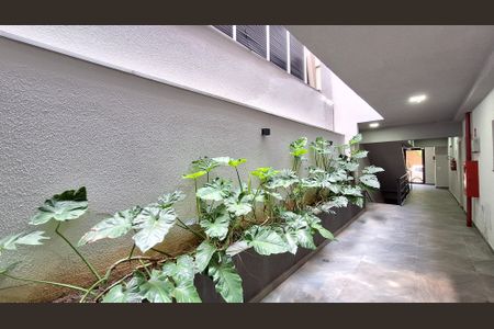 Apartamento para alugar com 48m², 2 quartos e 1 vagaÁrea comum - Área do Jardim