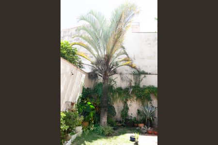 Casa para alugar com 440m², 7 quartos e 7 vagas Casa para alugar com 440m², 7 quartos e 7 vagasJardim