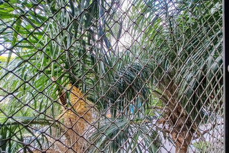 Apartamento à venda com 68m², 3 quartos e 2 vagasVista do Quarto 2