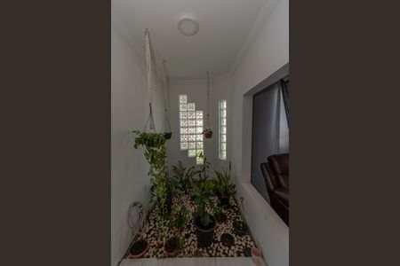 Casa para alugar com 300m², 4 quartos e 6 vagasJardim interno 