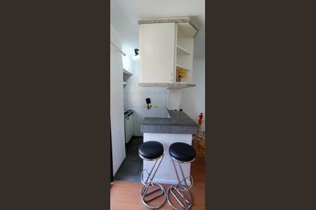 Apartamento para alugar com 30m², 1 quarto e 1 vagaCozinha