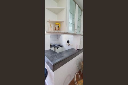 Apartamento para alugar com 30m², 1 quarto e 1 vagaCozinha