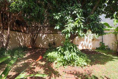 Casa para alugar com 303m², 4 quartos e 5 vagasJardim