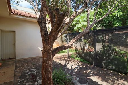 Casa para alugar com 303m², 4 quartos e 5 vagasJardim