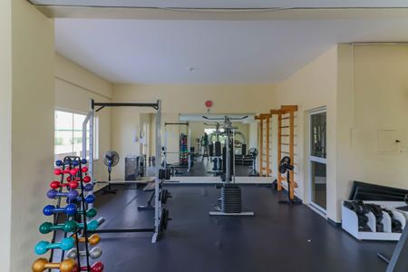 Apartamento para alugar com 65m², 2 quartos e 2 vagasÁrea comum - Academia