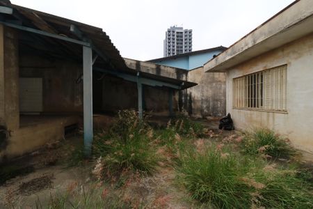 Casa à venda com 350m², 3 quartos e 6 vagasQuintal