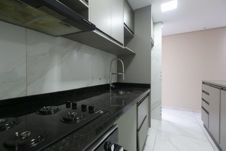 Apartamento para alugar com 50m², 2 quartos e 1 vagaCozinha - Armários
