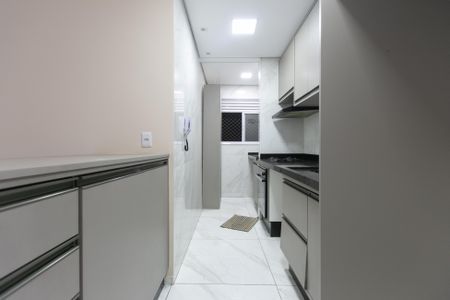 Apartamento para alugar com 50m², 2 quartos e 1 vagaCozinha - Armários