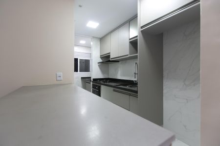 Apartamento para alugar com 50m², 2 quartos e 1 vagaCozinha - Armários