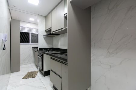 Apartamento para alugar com 50m², 2 quartos e 1 vagaCozinha - Armários