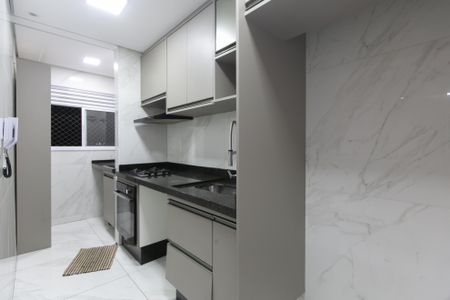 Apartamento para alugar com 50m², 2 quartos e 1 vagaCozinha - Armários