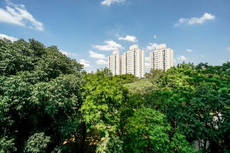 Apartamento para alugar com 63m², 3 quartos e 1 vaga Apartamento para alugar com 63m², 3 quartos e 1 vagaVista da suíte