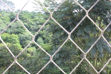 Apartamento para alugar com 50m², 2 quartos e 1 vagaVista do Quarto 2