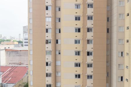 Studio para alugar com 29m², 1 quarto e sem vagaVista - Varanda