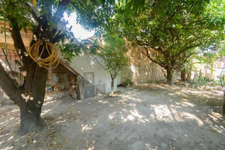 Apartamento à venda com 74m², 3 quartos e 2 vagasQuintal