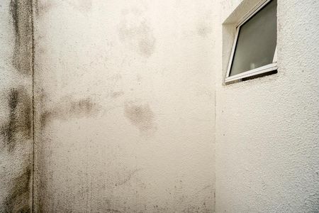 Casa de condomínio à venda com 90m², 2 quartos e 1 vaga Casa de condomínio à venda com 90m², 2 quartos e 1 vagaVista da suíte 01