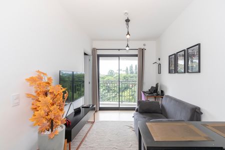 Apartamento à venda com 34m², 1 quarto e sem vaga Apartamento à venda com 34m², 1 quarto e sem vagaSala/ Cozinha