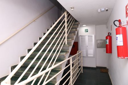 Apartamento para alugar com 50m², 3 quartos e 1 vagaÁrea comum - Saguão do andar