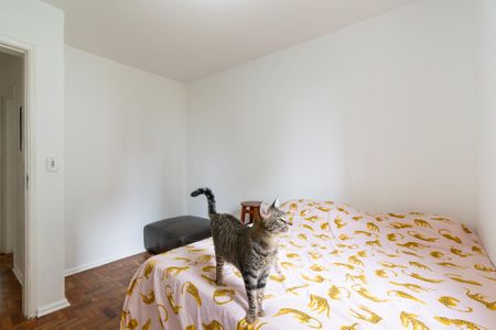 Apartamento à venda com 48m², 2 quartos e 1 vaga Apartamento à venda com 48m², 2 quartos e 1 vagaQuarto 2