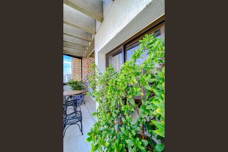 Apartamento à venda com 368m², 6 quartos e 4 vagasVaranda da Sala