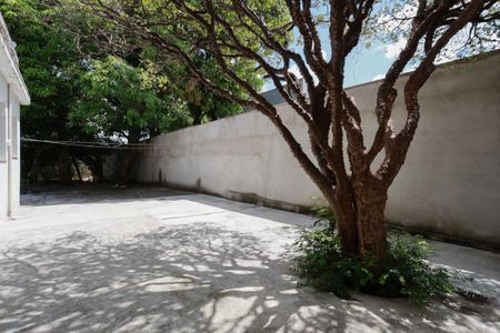 Casa à venda com 500m², 3 quartos e 4 vagasQuintal/Jardim