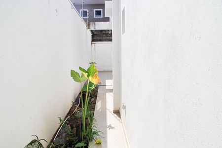 Casa para alugar com 129m², 3 quartos e 4 vagasQuintal