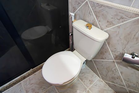 Casa de condomínio à venda com 250m², 4 quartos e 1 vagaBanheiro da Suíte