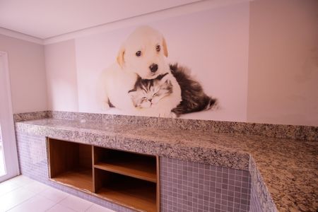 Studio para alugar com 35m², 1 quarto e sem vagabanho em animais de estimação