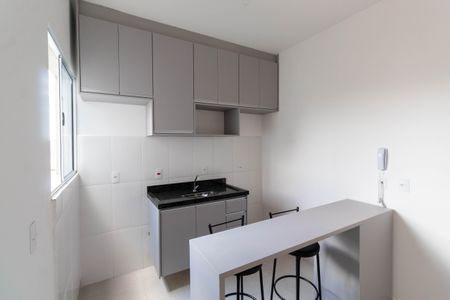 Apartamento para alugar com 35m², 1 quarto e sem vagaCozinha
