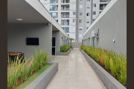 Apartamento para alugar com 48m², 2 quartos e 1 vaga Apartamento para alugar com 48m², 2 quartos e 1 vagaÁrea comum