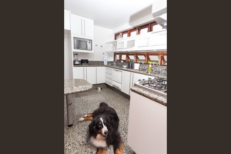 Casa de condomínio à venda com 450m², 3 quartos e 3 vagasCozinha