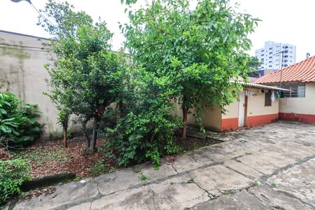 Casa à venda com 498m², 2 quartos e 1 vaga Casa à venda com 498m², 2 quartos e 1 vagaQuintal