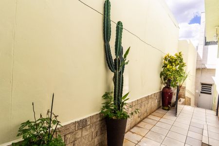 Casa para alugar com 550m², 5 quartos e 2 vagas Casa para alugar com 550m², 5 quartos e 2 vagasCorredor Quintal