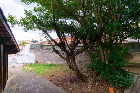 Casa à venda com 751m², 4 quartos e 6 vagasQuintal / Jardim