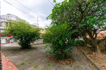 Casa à venda com 751m², 4 quartos e 6 vagasQuintal / Jardim