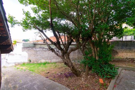 Casa à venda com 751m², 4 quartos e 6 vagasQuintal / Jardim