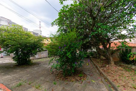 Casa à venda com 751m², 4 quartos e 6 vagasQuintal / Jardim