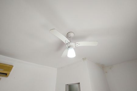 Casa para alugar com 240m², 2 quartos e sem vagaSuite 2