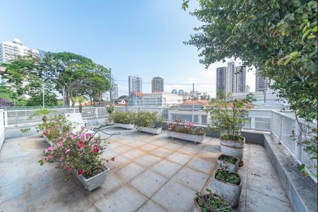 Casa à venda com 270m², 2 quartos e 3 vagas Casa à venda com 270m², 2 quartos e 3 vagasQuintal - Frente