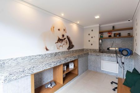 Apartamento para alugar com 32m², 1 quarto e sem vagaÁrea Pet