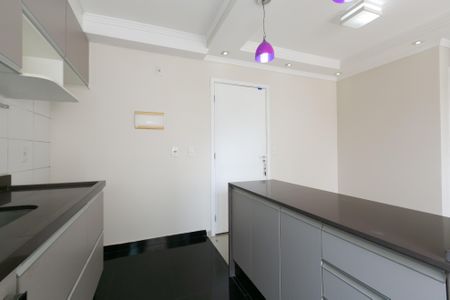 Apartamento à venda com 46m², 2 quartos e 1 vagaCozinha - Armários