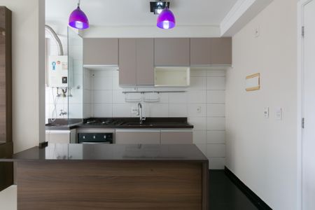 Apartamento à venda com 46m², 2 quartos e 1 vagaCozinha - Armários