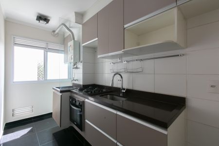 Apartamento à venda com 46m², 2 quartos e 1 vagaCozinha - Armários