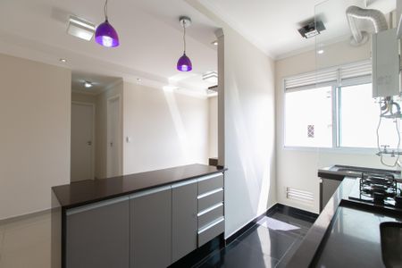 Apartamento à venda com 46m², 2 quartos e 1 vagaCozinha - Armários