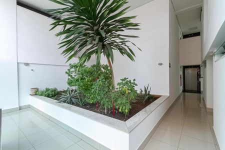 Apartamento à venda com 62m², 2 quartos e 1 vagaÁrea comum