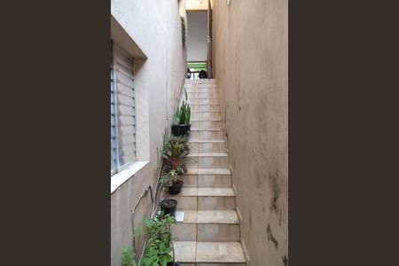 Casa à venda com 220m², 5 quartos e sem vagaEscada Casa 3