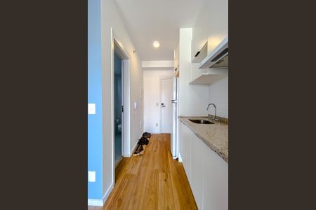 Apartamento para alugar com 25m², 1 quarto e sem vagaCozinha