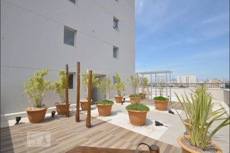 Apartamento à venda com 34m², 2 quartos e sem vaga Apartamento à venda com 34m², 2 quartos e sem vagaÁrea comum