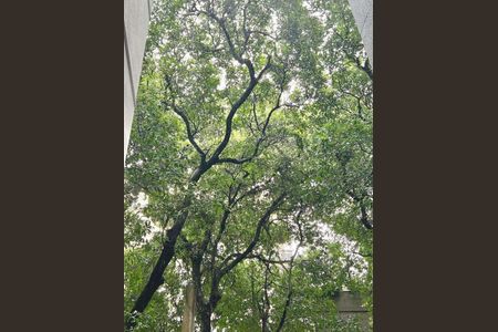 Apartamento à venda com 133m², 3 quartos e sem vaga